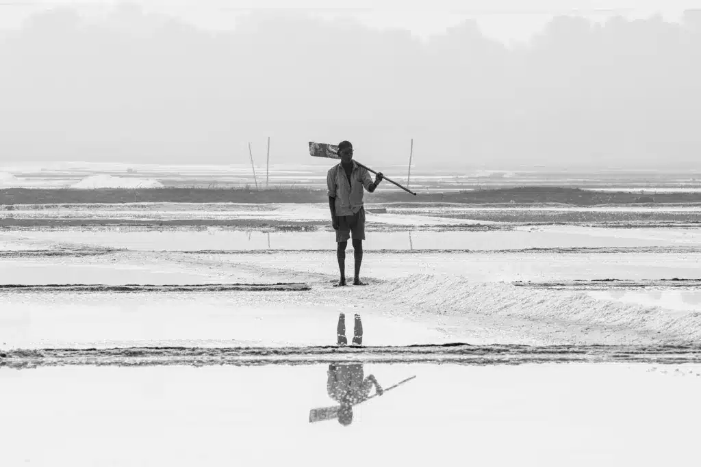 A photographic exploration of Mumbai’s Wadala Salt Pan.